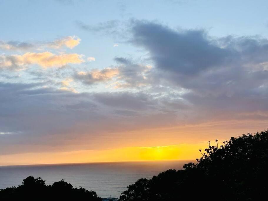 Sea View Sun Centre Daire Plettenberg Bay Dış mekan fotoğraf