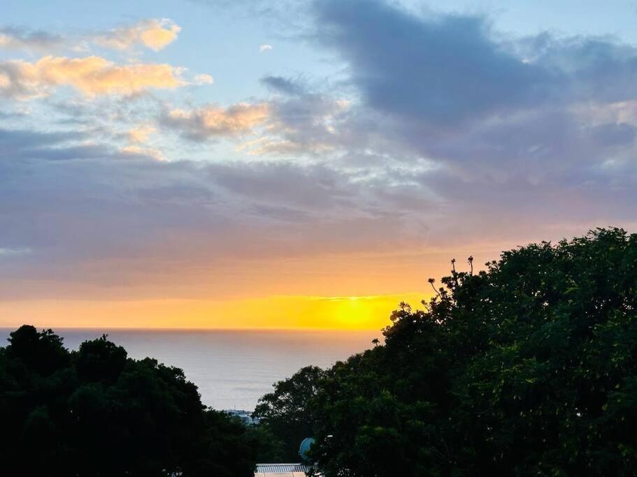 Sea View Sun Centre Daire Plettenberg Bay Dış mekan fotoğraf