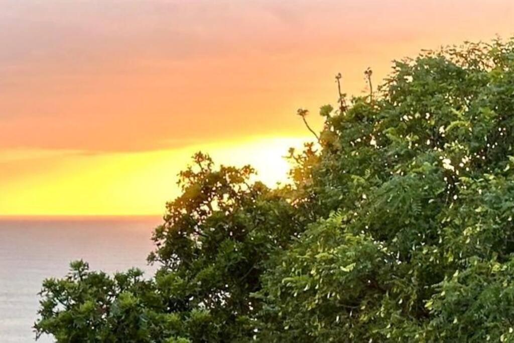 Sea View Sun Centre Daire Plettenberg Bay Dış mekan fotoğraf